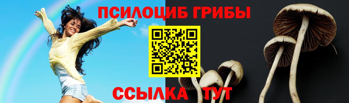 Псилоцибиновые грибы Magic Shrooms Кизляр